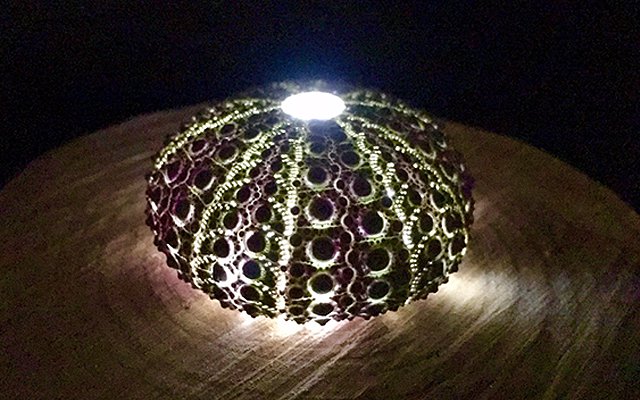 Japanese Twitter User Creates Artistic Lamp With The Empty Shell Of A Sea Urchin