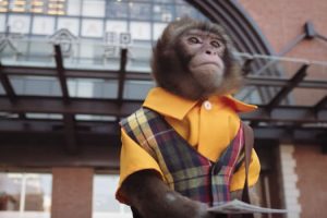 Oita City’s Promotional Video Stars A Traveling Monkey In Pursuit Of Love