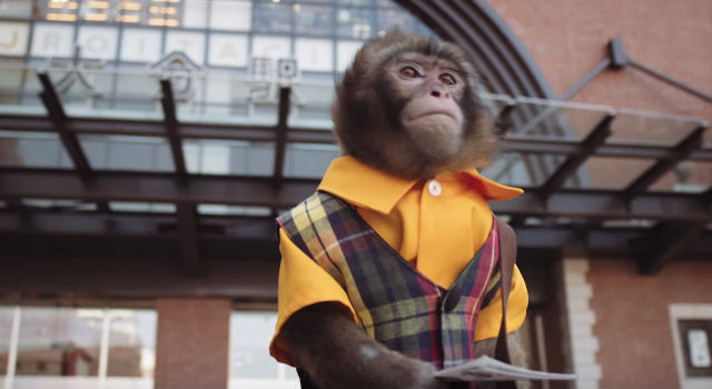 Oita City’s Promotional Video Stars A Traveling Monkey In Pursuit Of Love