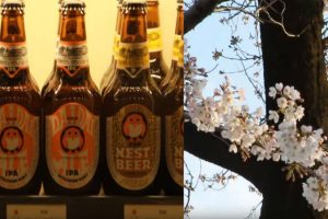Isetan’s Sui no Za Is A Must Stop By Emporium Of Sake And Beer From All Over Japan