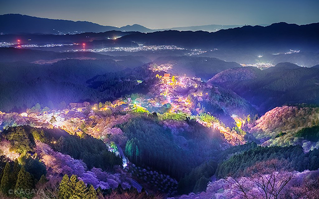 Say Goodbye To Sakura Season With Stunning Photography By Kagaya