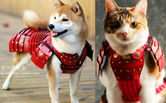 Unleash Your Pet’s Warrior Spirit With Cat And Dog Samurai Armor