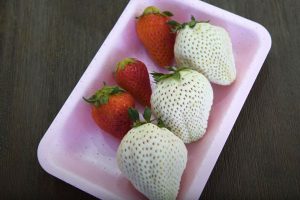 Japan’s Rare “White Jewel” Strawberries Are Berry Expensive