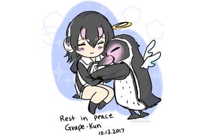 Rest in Peace Grape, The Penguin Who Loved a Cardboard Anime Cutout