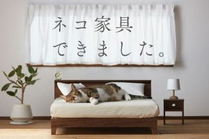 Japanese Crafts Companies Create High Quality Sets Of Miniature Furniture For Cats
