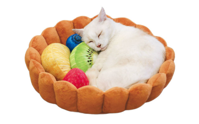 Turn Your Cat Into A Napping Dessert With The Kitty Fruit Tart Bed