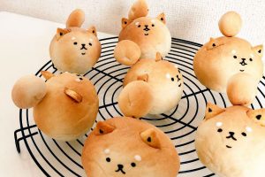 These Chubby Shiba Inu Puffs Are Begging You To Take A Bite Out Of Them