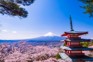 Japan Cherry Blossom Forecast 2019 Reveals An Unusually Early Start To The Season