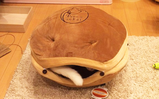 Cat Being Protected By The Dorayaki Yummy Bun Shelter