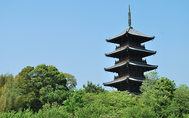 Introducing Okayama: Why You Should Visit This Hidden Gem of Japan