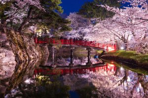 One of Japan’s Most Famous Cherry Blossom Viewing Spots is Even More Magical After Dark