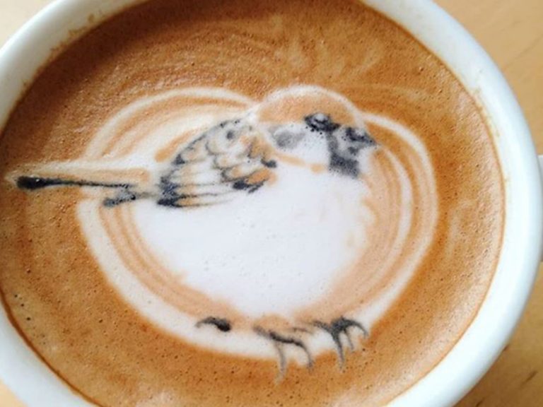 Japanese Latte Artist Creates Beautiful and Colourful Depictions of Various Bird Species