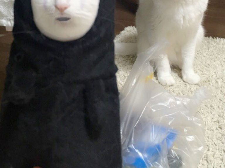 This is What Happens When You Face Swap a Cat with Spirited Away’s No-Face