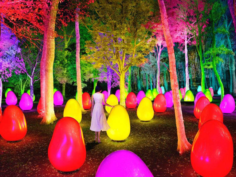TeamLab art exhibition turns acorn forest into a gorgeous wonderland of color