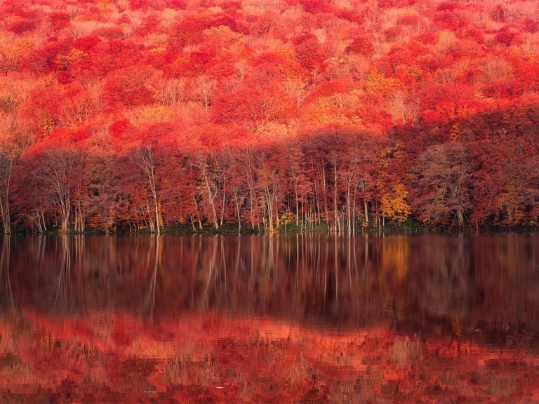 These stunning photos of fall foliage in Aomori will take your breath away