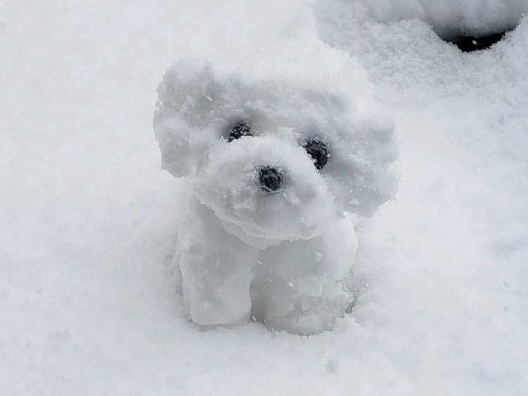 Artist’s snow dogs look just as cute as the real deal