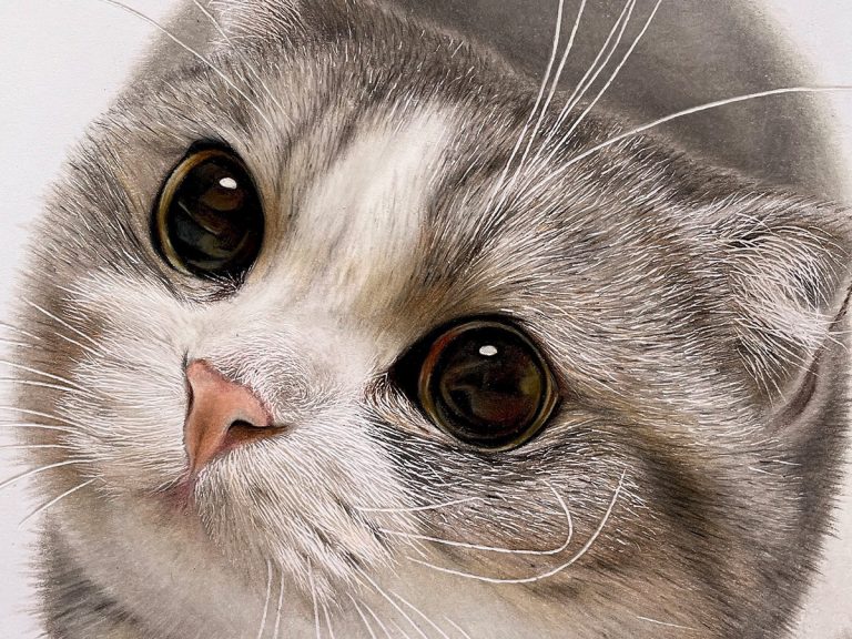 Japanese artist stuns Twitter with purrfectly realistic cat drawing