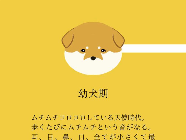 Japanese dog illustrator shows why dogs are cute at every age