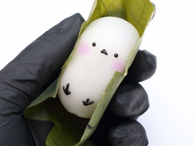 The cutest bird in Japan’s mochi form is adorable enough to rival the real thing