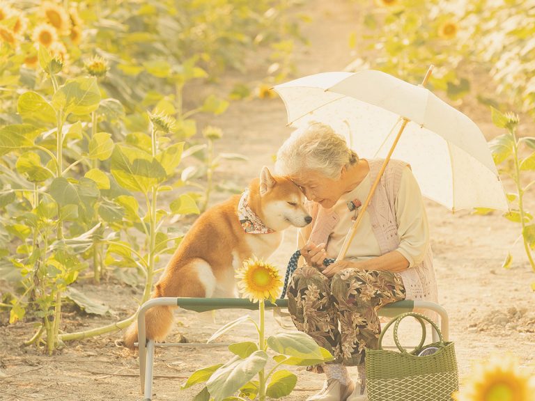 Photographer captures touching moment between inseparable grandma and shiba inu