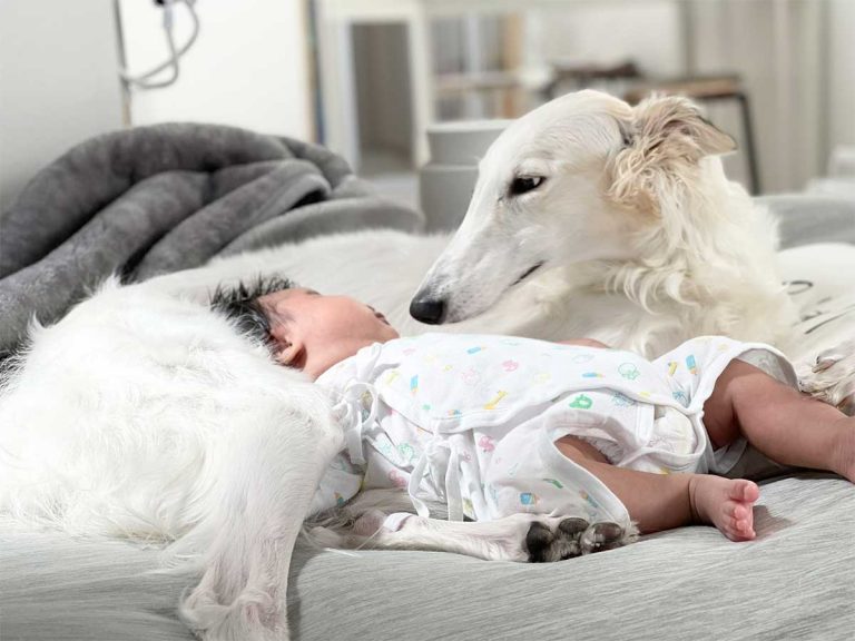 Adorable photos of borzoi watching over baby are your moment of serenity for the week