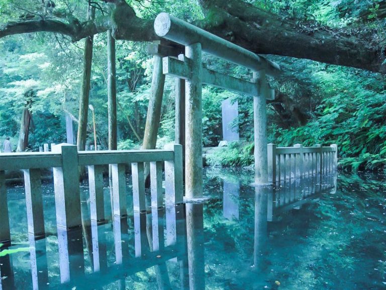 Photographer shows the healing nature of Japanese shrine’s purification pond in one shot