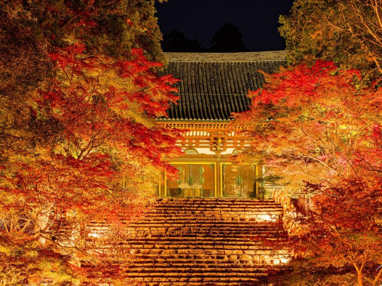 Photographer captures brilliant display of fall leaves at Kyoto temple
