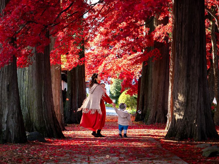 Japanese photographer found the perfect fall foliage spot to document his family’s growth