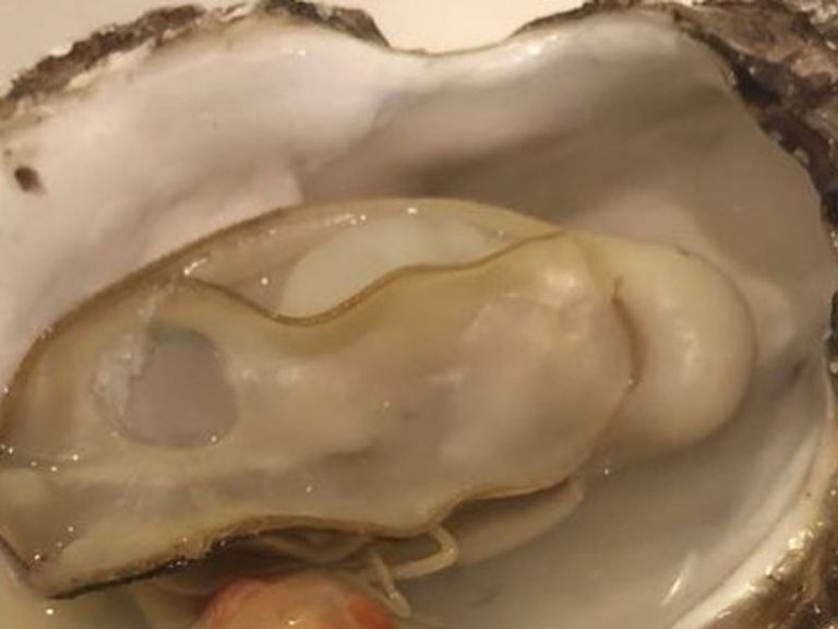 Japanese Twitter user opens oyster to find he’s been beaten to the punch by previous customer