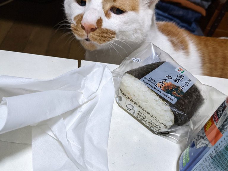 Cat’s expression the moment they realize they can’t have a rice ball is right out of a manga panel