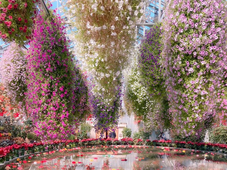 Gorgeous flower display in Japanese botanical gardens looks like a painting come to life