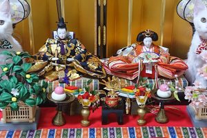 Cats celebrate Girl’s Day by taking over traditional Japanese doll display