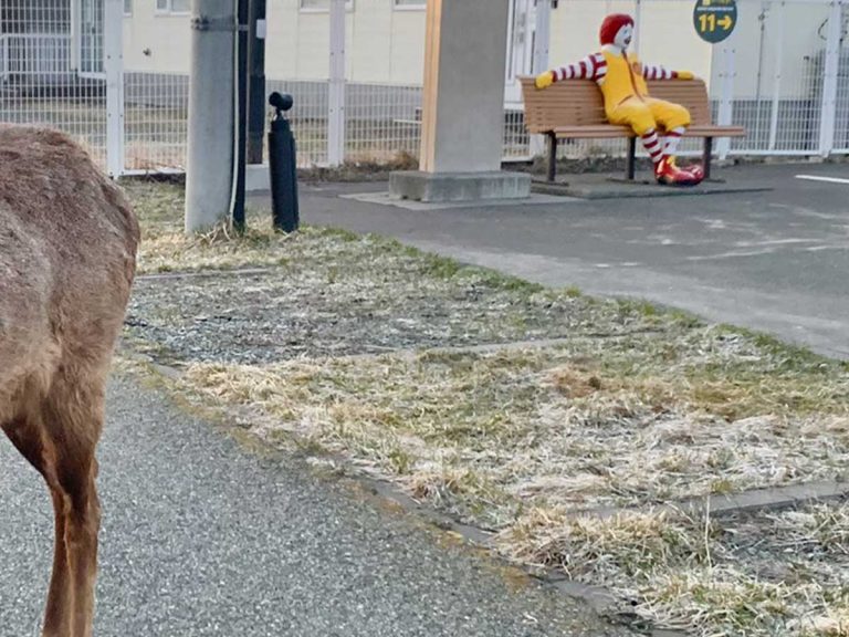 Rare customer reminds everyone Japan’s northernmost McDonald’s is just a bit different