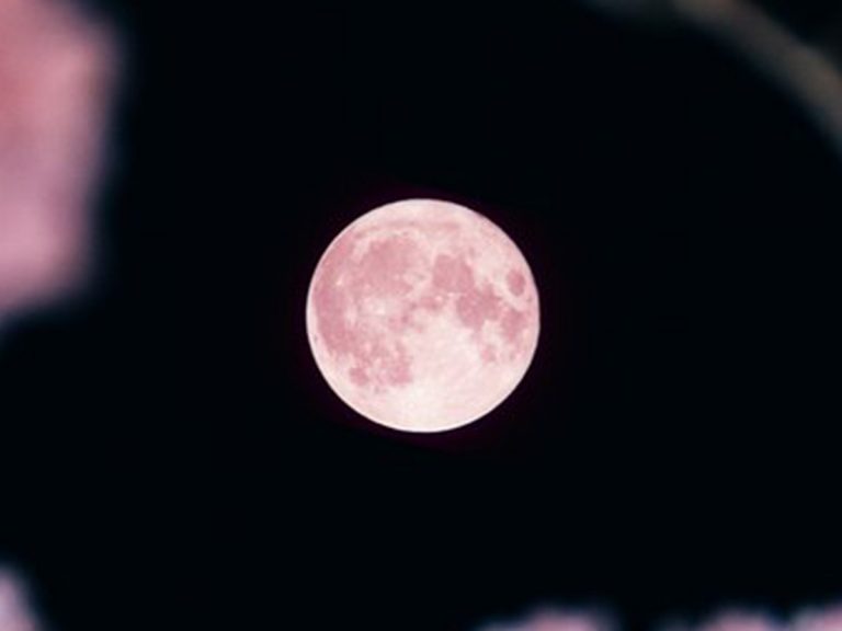 Photographer shows why the Pink Moon hits differently in Japan