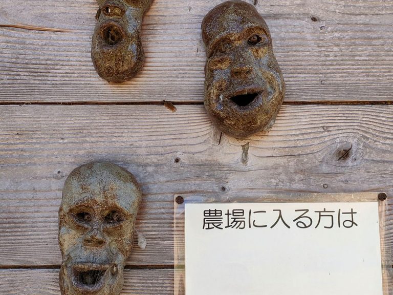 Bone-chilling discovery at abandoned farm in Japan looks like a horror movie opening