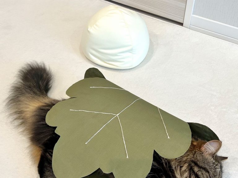 Sleeping cat in mochi leaf is the cutest and fluffiest Japanese sweet you’ve ever seen