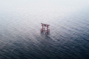 “A divine presence!” Magical photo of Japan’s floating torii gate takes breath away online