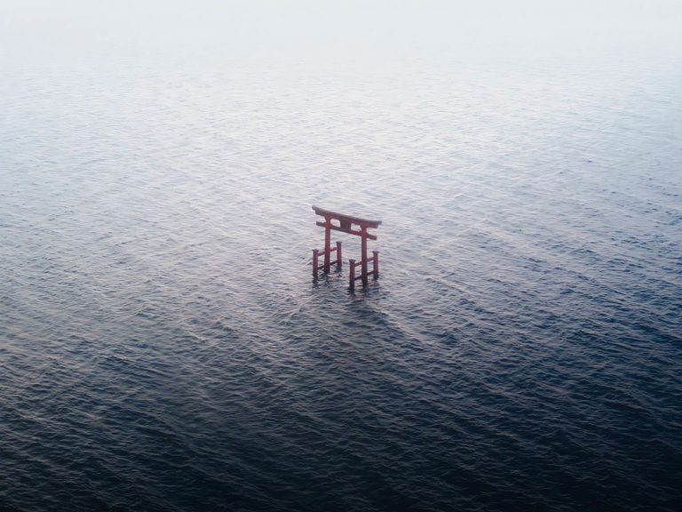 “A divine presence!” Magical photo of Japan’s floating torii gate takes breath away online