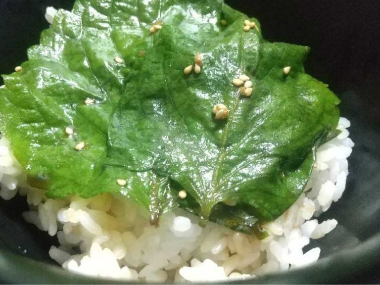 Shisolicious! This simple and delicious recipe will give you a great reason to eat more shiso