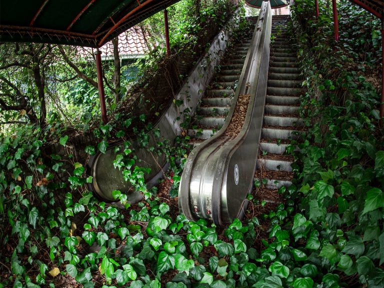 Japanese ruins photographer’s shot of abandoned escalator reclaimed by nature shows another world