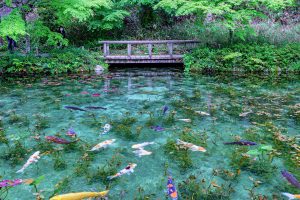 Monet’s Pond in Japan looks just like a painting