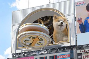 Giant 3D Akita dog leaps across 8 digital billboards above Tokyo’s Shibuya Station