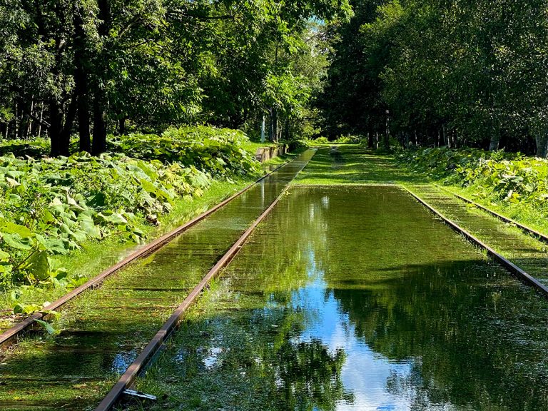 Untouched for 40 years, Hokkaido’s railway overrun by nature has people thinking of Spirited Away