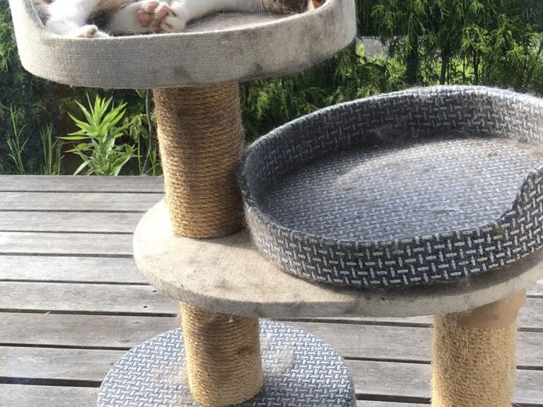 The pleasant problem with throwing away a cat tower