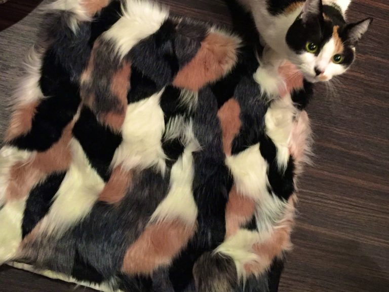 Cushion cover looks like owner made it out of her cat’s fur and her family can’t stop laughing