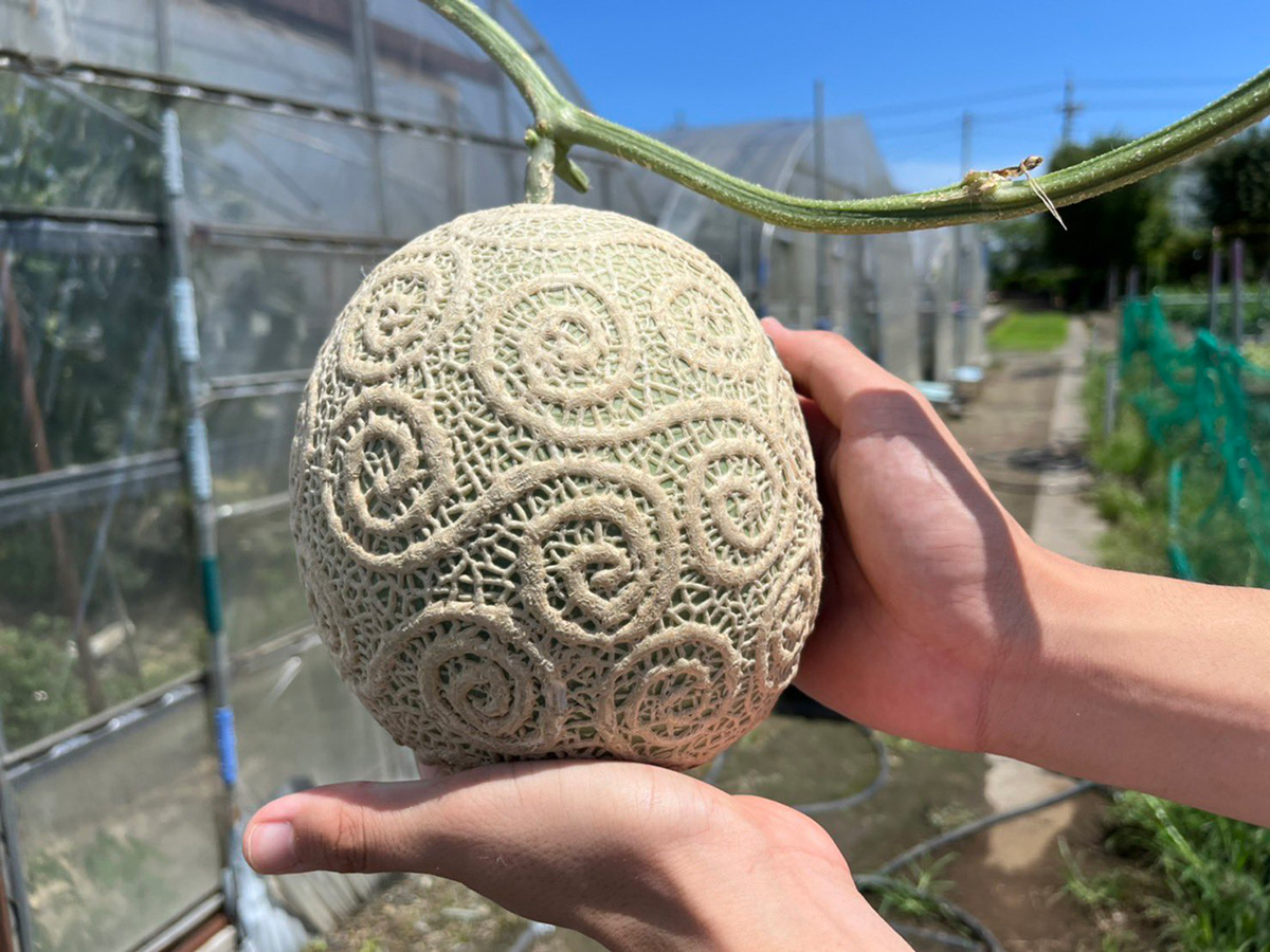 Anime Fan Recreates a Piece of Devil Fruit On a Real Melon