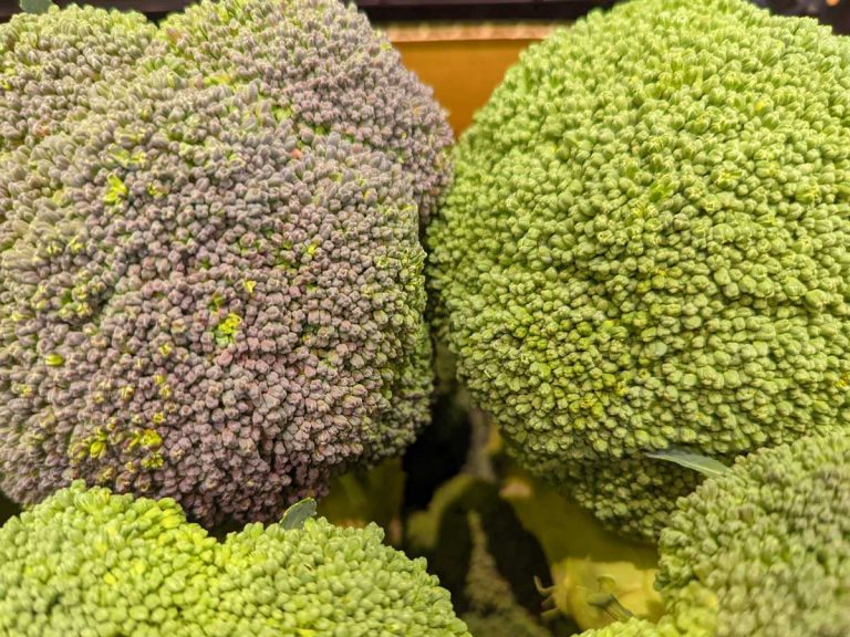 If you avoid broccoli because it looks purple, you may miss out on a sweet deal!