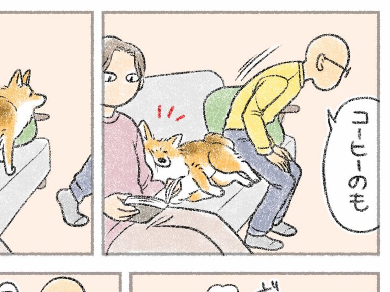 Pomeranian shows who’s the sofa boss in hilarious manga all too relatable to dog owners