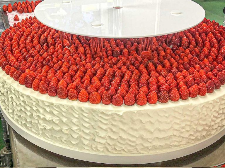 Top Japanese sweets artist fulfills childhood dream of a super huge shortcake