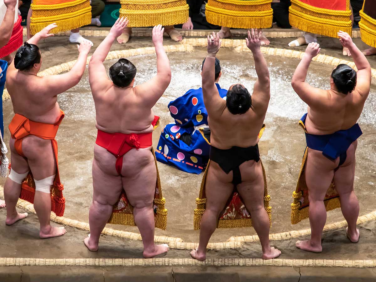 Sumo Champ Teacup – Pearl River Mart, sumo com barra h 